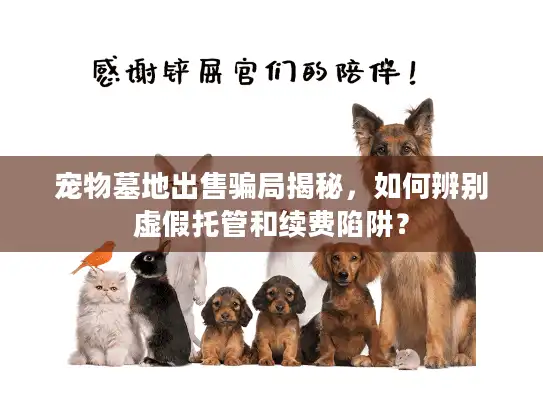 宠物墓地出售骗局揭秘，如何辨别虚假托管和续费陷阱？