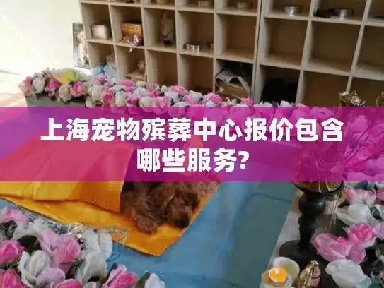 上海宠物殡葬中心报价包含哪些服务?