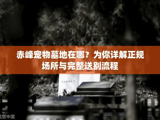 赤峰宠物墓地在哪？为你详解正规场所与完整送别流程