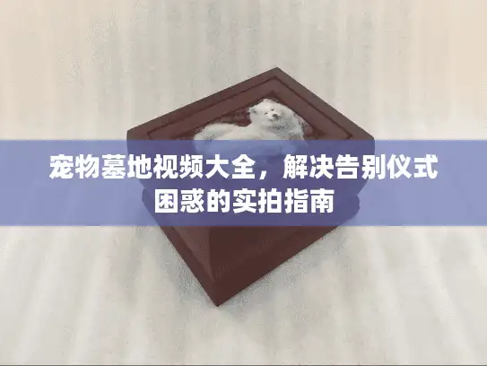 宠物墓地视频大全，解决告别仪式困惑的实拍指南