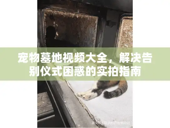宠物墓地视频大全，解决告别仪式困惑的实拍指南