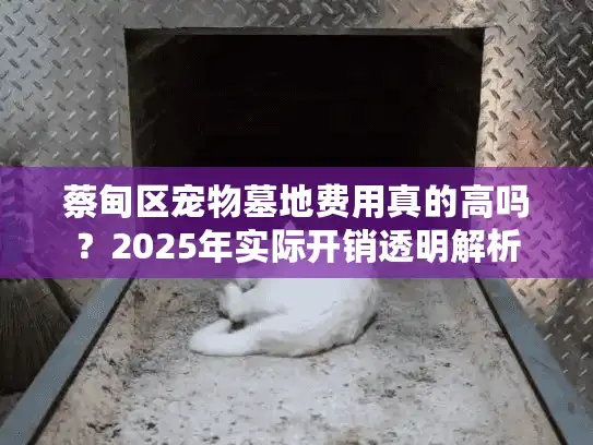 蔡甸区宠物墓地费用真的高吗？2025年实际开销透明解析