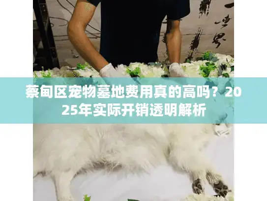 蔡甸区宠物墓地费用真的高吗？2025年实际开销透明解析