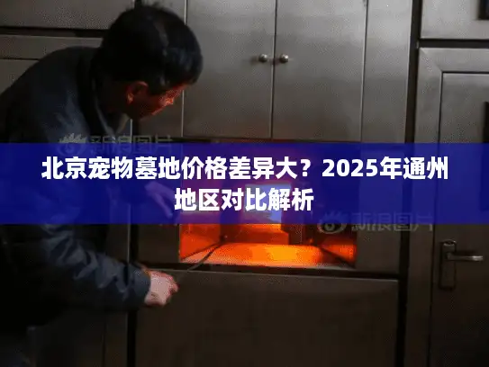 北京宠物墓地价格差异大？2025年通州地区对比解析
