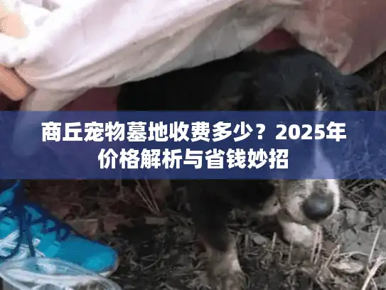 商丘宠物墓地收费多少？2025年价格解析与省钱妙招