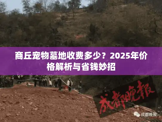 商丘宠物墓地收费多少？2025年价格解析与省钱妙招