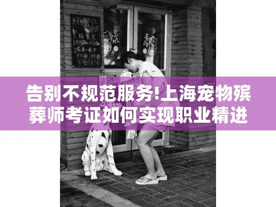 告别不规范服务!上海宠物殡葬师考证如何实现职业精进?