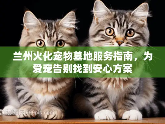兰州火化宠物墓地服务指南，为爱宠告别找到安心方案