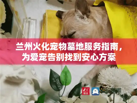 兰州火化宠物墓地服务指南，为爱宠告别找到安心方案