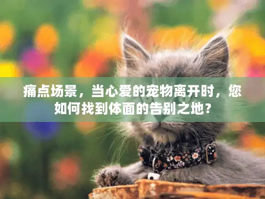 痛点场景，当心爱的宠物离开时，您如何找到体面的告别之地？
