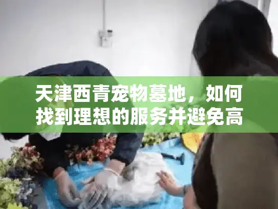 天津西青宠物墓地，如何找到理想的服务并避免高价陷阱？