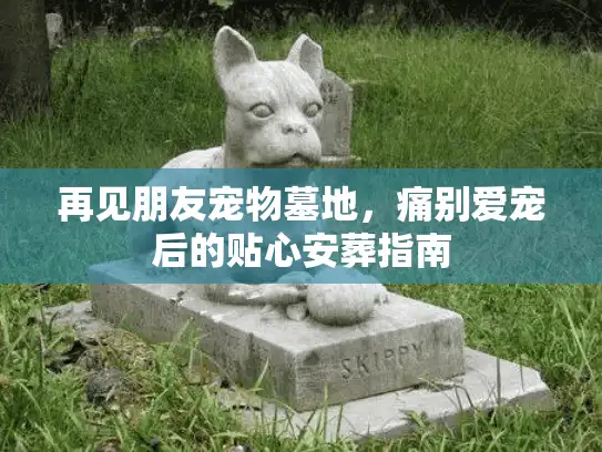 再见朋友宠物墓地，痛别爱宠后的贴心安葬指南