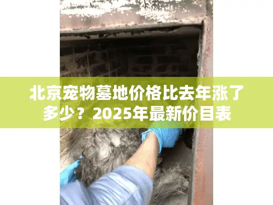 北京宠物墓地价格比去年涨了多少？2025年最新价目表