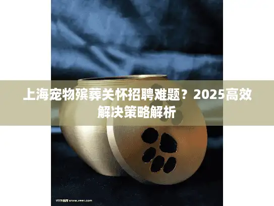 上海宠物殡葬关怀招聘难题？2025高效解决策略解析