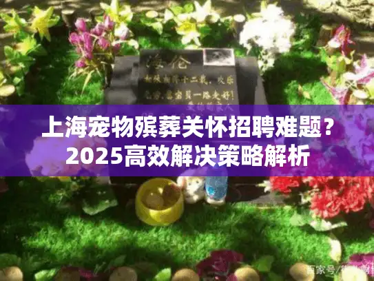 上海宠物殡葬关怀招聘难题？2025高效解决策略解析