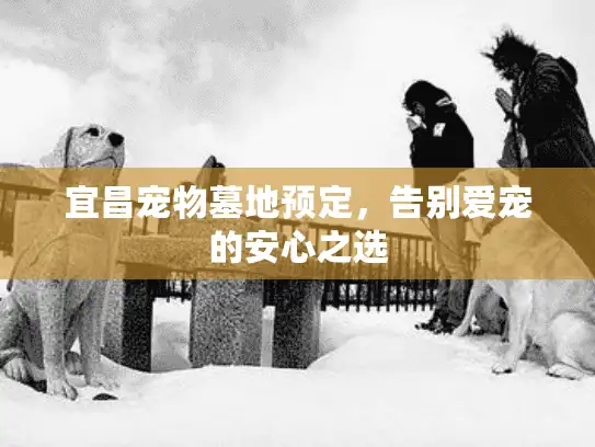 宜昌宠物墓地预定，告别爱宠的安心之选