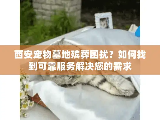西安宠物墓地殡葬困扰？如何找到可靠服务解决您的需求