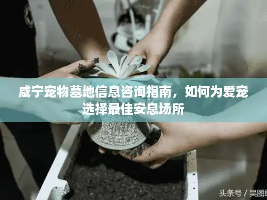 咸宁宠物墓地信息咨询指南，如何为爱宠选择最佳安息场所