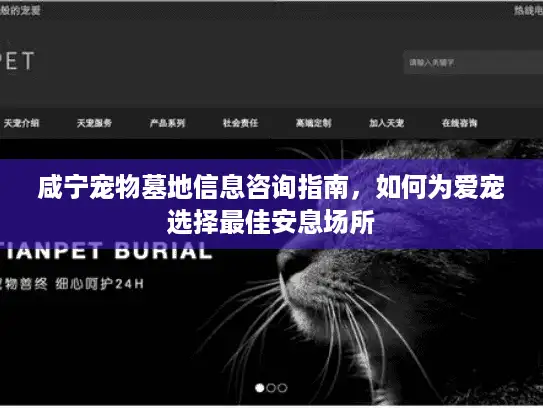 咸宁宠物墓地信息咨询指南，如何为爱宠选择最佳安息场所