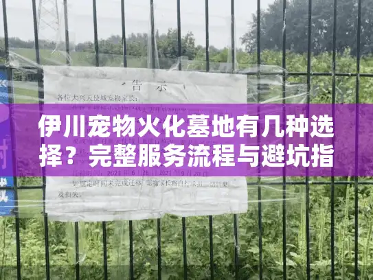 伊川宠物火化墓地有几种选择？完整服务流程与避坑指南