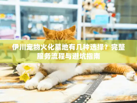 伊川宠物火化墓地有几种选择？完整服务流程与避坑指南