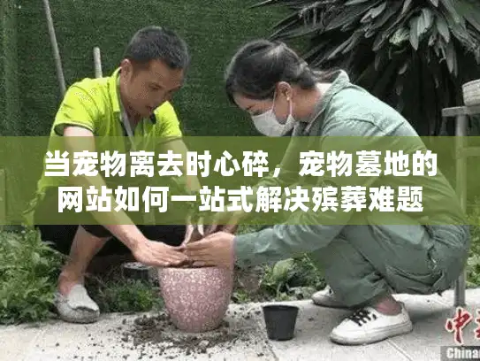 当宠物离去时心碎，宠物墓地的网站如何一站式解决殡葬难题