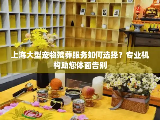 上海大型宠物殡葬服务如何选择？专业机构助您体面告别