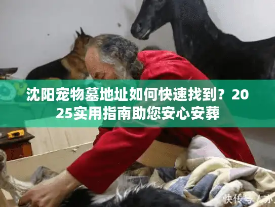 沈阳宠物墓地址如何快速找到？2025实用指南助您安心安葬