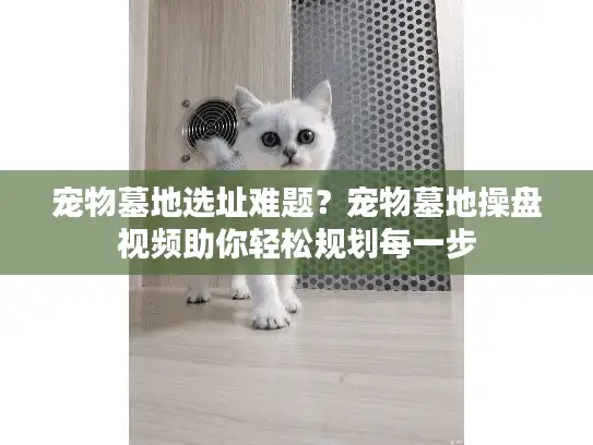 宠物墓地选址难题？宠物墓地操盘视频助你轻松规划每一步
