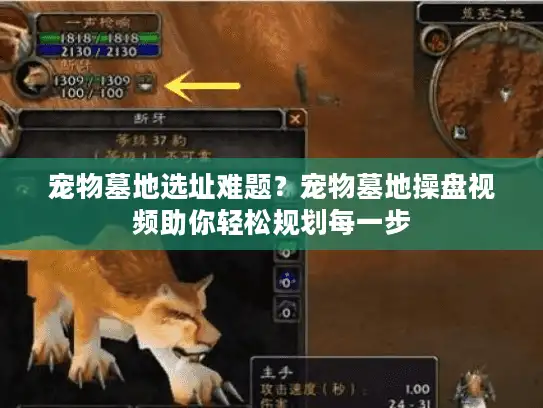 宠物墓地选址难题？宠物墓地操盘视频助你轻松规划每一步