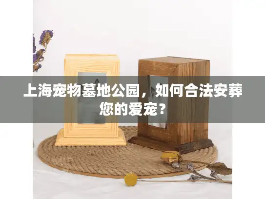 上海宠物墓地公园，如何合法安葬您的爱宠？