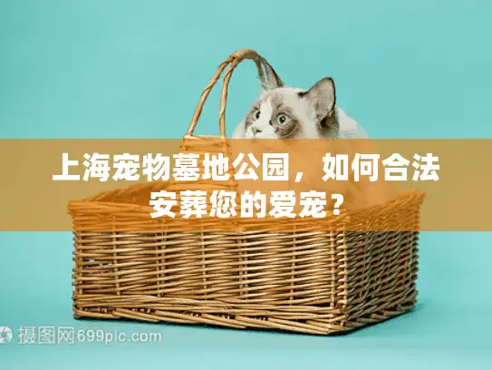 上海宠物墓地公园，如何合法安葬您的爱宠？