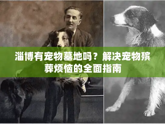 淄博有宠物墓地吗？解决宠物殡葬烦恼的全面指南