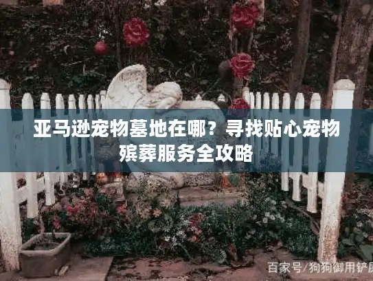 亚马逊宠物墓地在哪？寻找贴心宠物殡葬服务全攻略