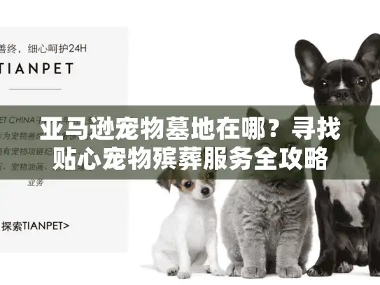 亚马逊宠物墓地在哪？寻找贴心宠物殡葬服务全攻略