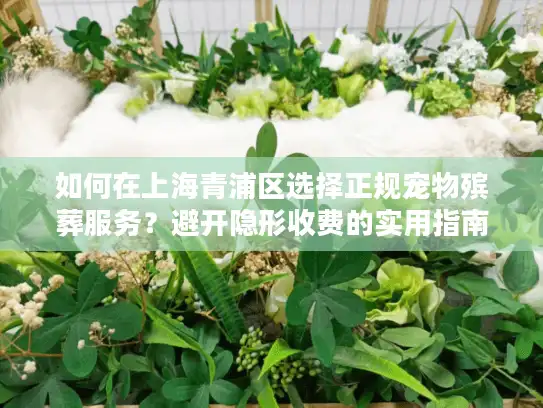 如何在上海青浦区选择正规宠物殡葬服务？避开隐形收费的实用指南