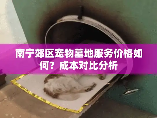 南宁郊区宠物墓地服务价格如何？成本对比分析