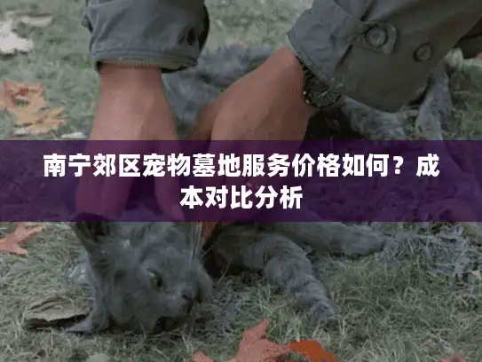 南宁郊区宠物墓地服务价格如何？成本对比分析