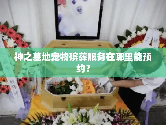 神之墓地宠物殡葬服务在哪里能预约？