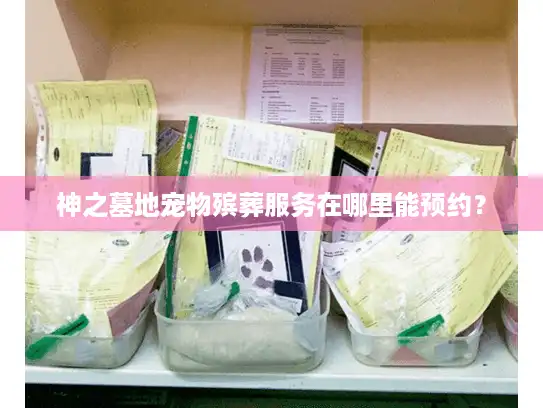 神之墓地宠物殡葬服务在哪里能预约？