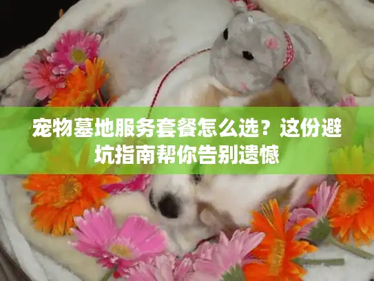宠物墓地服务套餐怎么选？这份避坑指南帮你告别遗憾