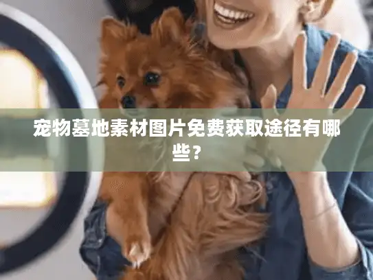 宠物墓地素材图片免费获取途径有哪些？
