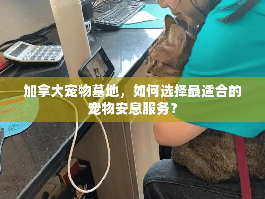 加拿大宠物墓地，如何选择最适合的宠物安息服务？
