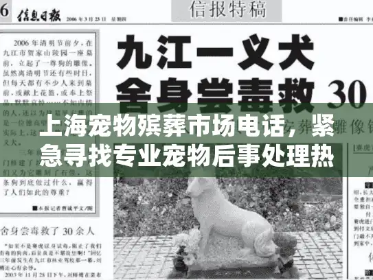 上海宠物殡葬市场电话，紧急寻找专业宠物后事处理热线！