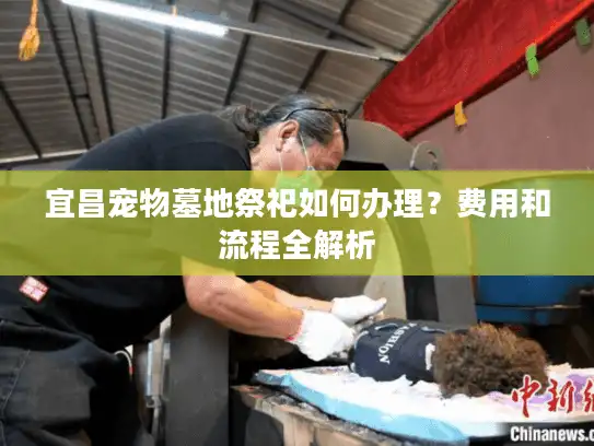宜昌宠物墓地祭祀如何办理？费用和流程全解析