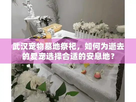 武汉宠物墓地祭祀，如何为逝去的爱宠选择合适的安息地？