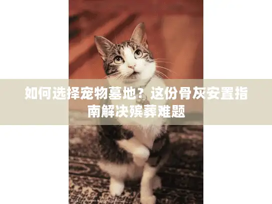 如何选择宠物墓地？这份骨灰安置指南解决殡葬难题