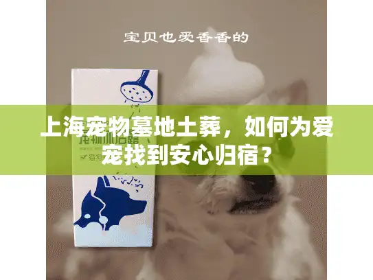 上海宠物墓地土葬，如何为爱宠找到安心归宿？