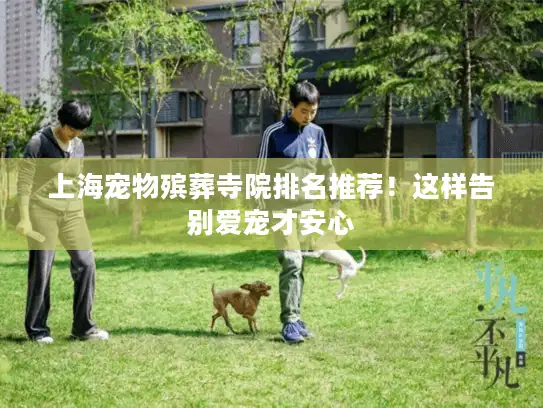 上海宠物殡葬寺院排名推荐！这样告别爱宠才安心