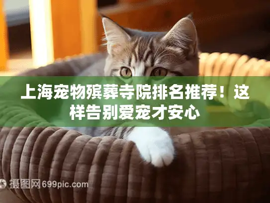 上海宠物殡葬寺院排名推荐！这样告别爱宠才安心